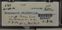 Image Associated With the Occurence